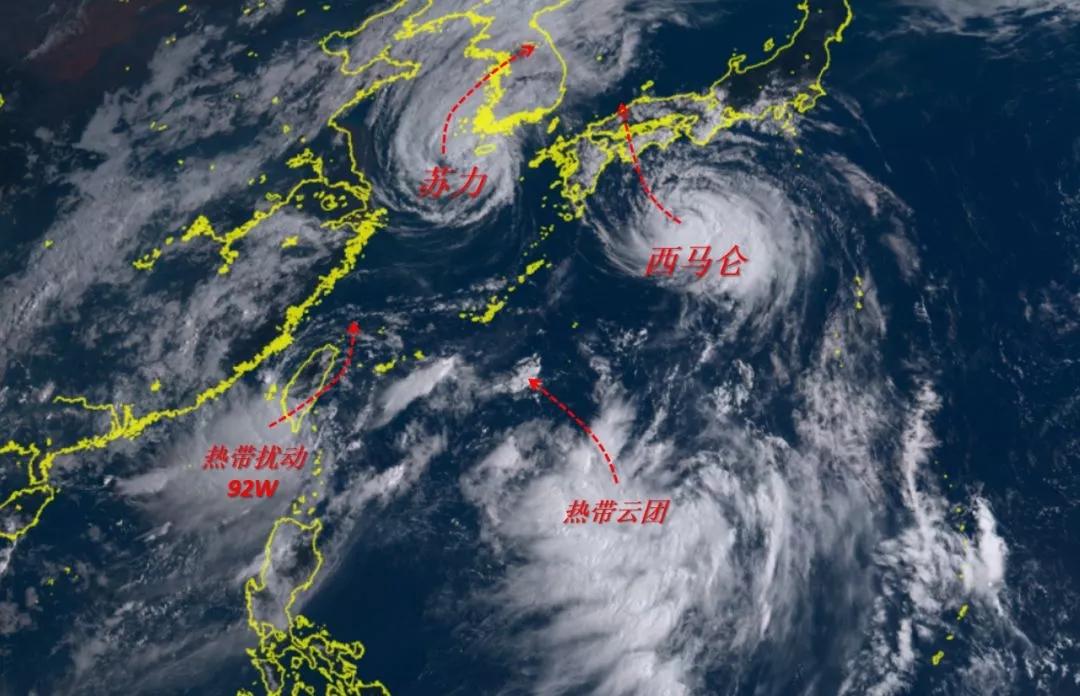 福建技能掌握宝典，从入门到精通的详细指南