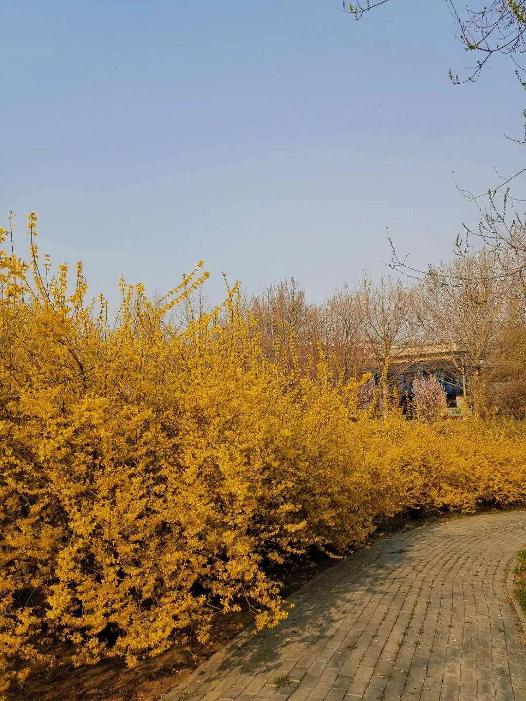 廊坊，亲爱的听众朋友们